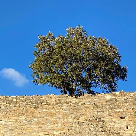 Сasa de vacaciones Maison St Laurent Olargues