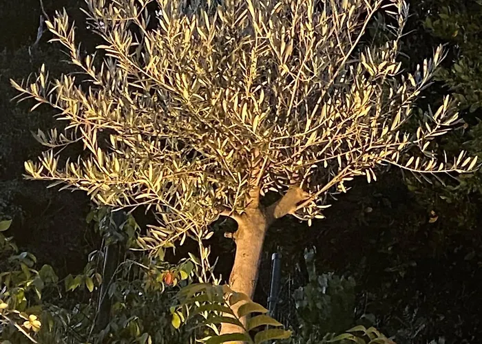 Maison St Laurent Ferienhaus *