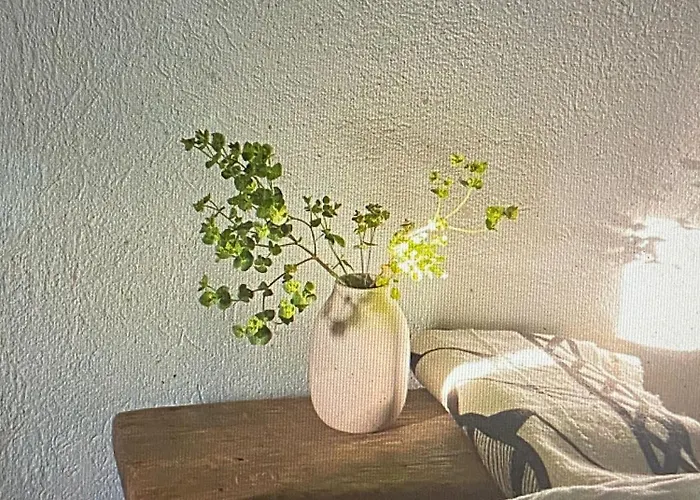 Ferienhaus Maison St Laurent