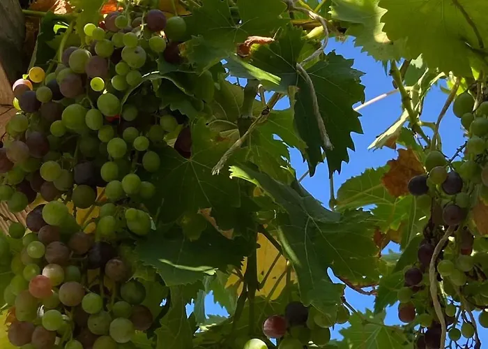 Maison St Laurent Ferienhaus *